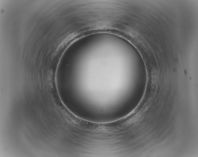 X0000066951265200603241135