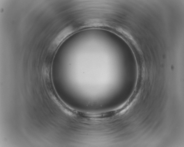 X0000066951273200603241134