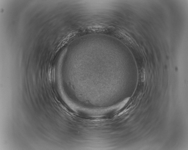 X0000066951298200603241133