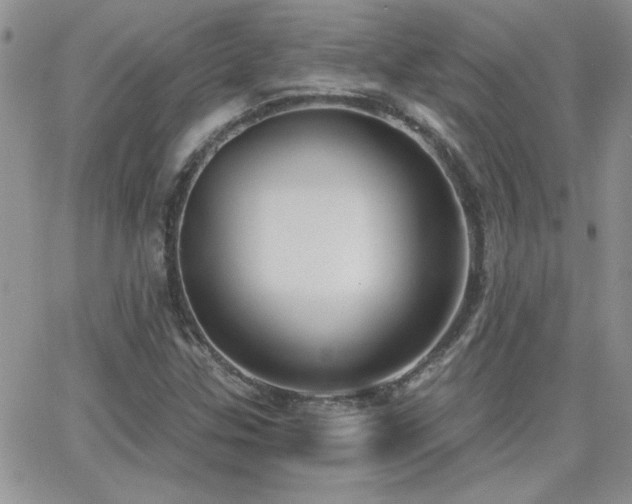 X0000066951307200603241133