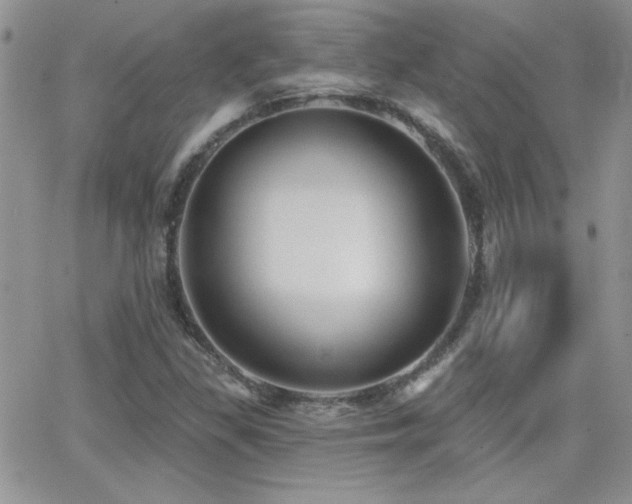 X0000066951309200603241133