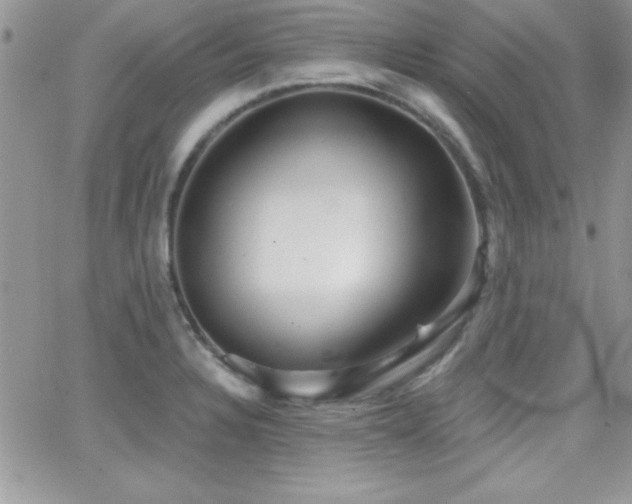 X0000066951328200603241134