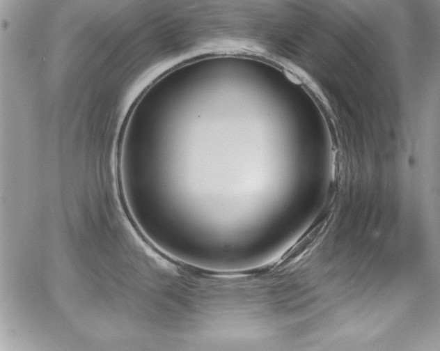 X0000066951343200603241134