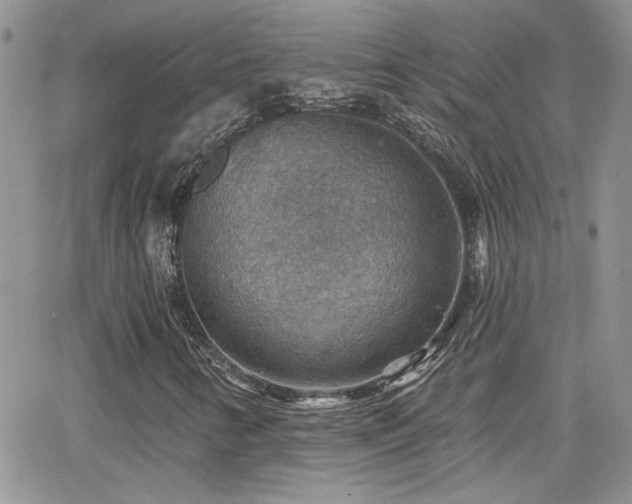X0000066951346200603241133