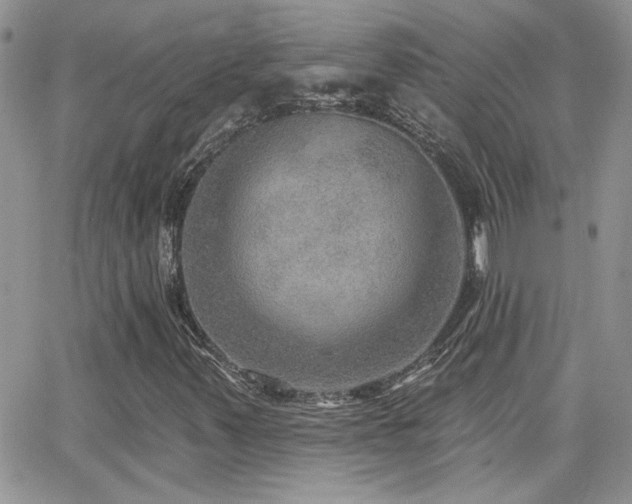 X0000066951347200603241133