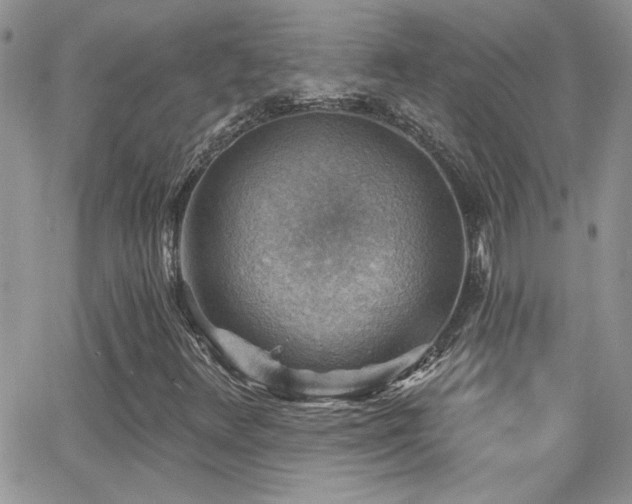 X0000066951348200603241133