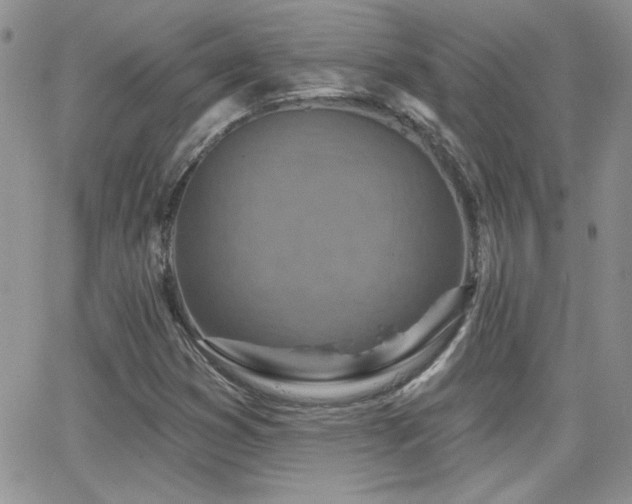 X0000066951353200603241133