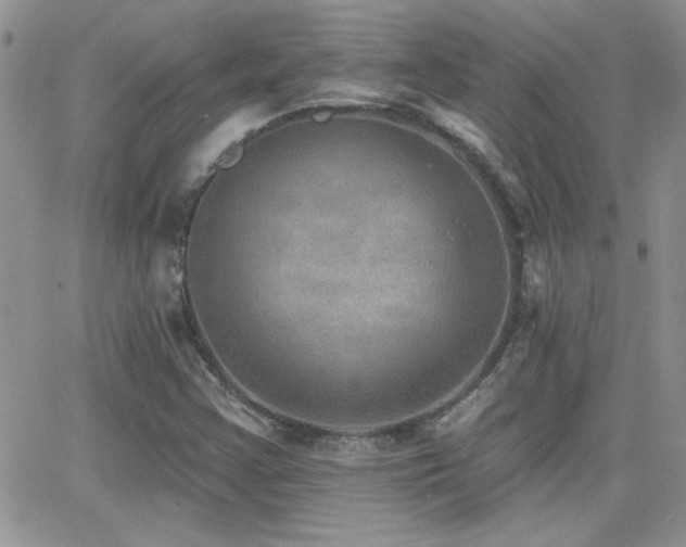 X0000066951355200603241133