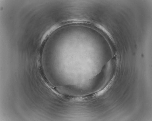 X0000066951357200603241133