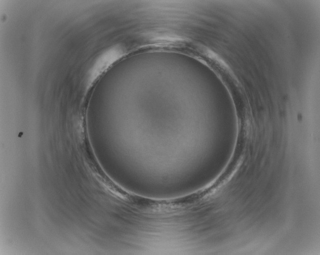 X0000066951362200603241133
