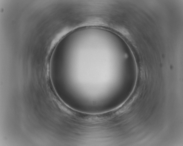 X0000066951366200603241133