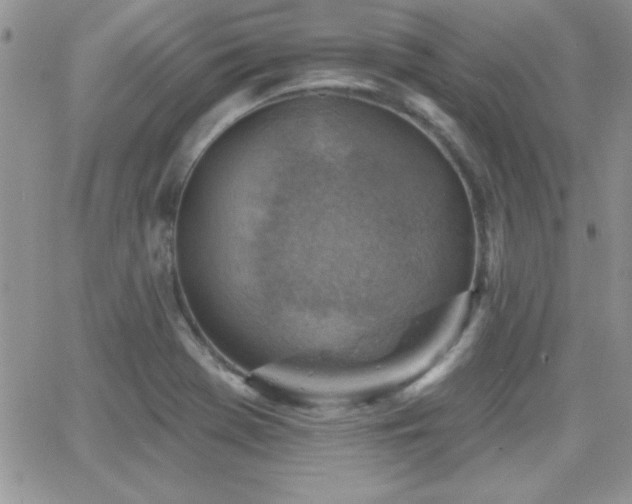 X0000066951369200603241133