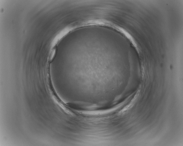 X0000066951373200603241133