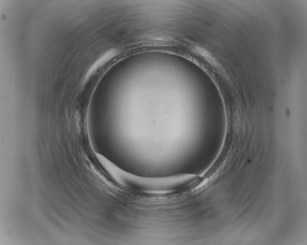X0000066951402200603241132