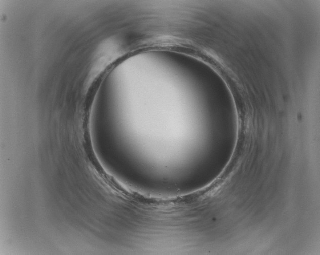 X0000066951410200603241132