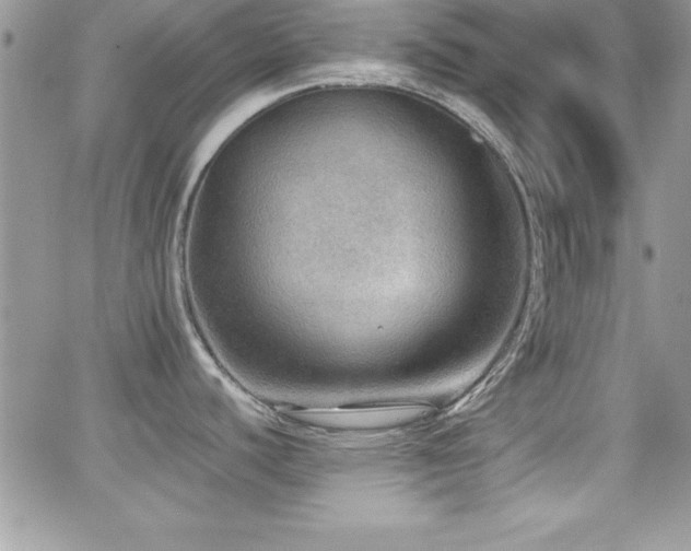 X0000066951440200603241132