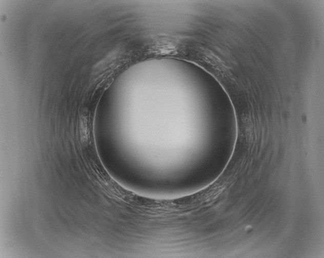 X0000066951442200603241132
