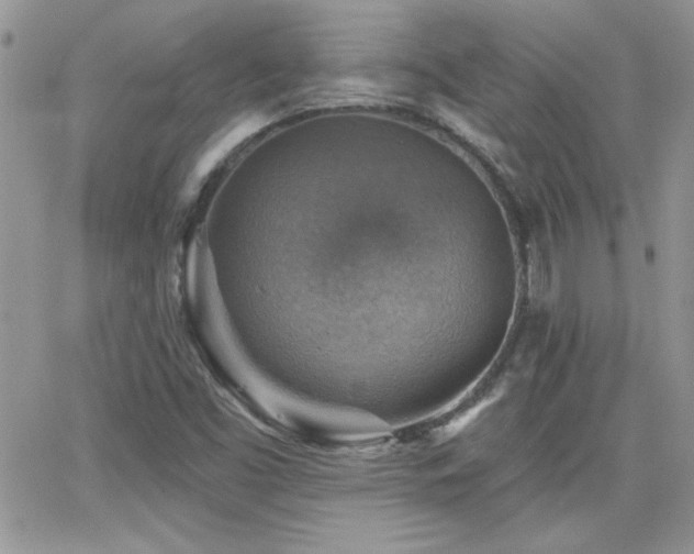 X0000066951453200603241131