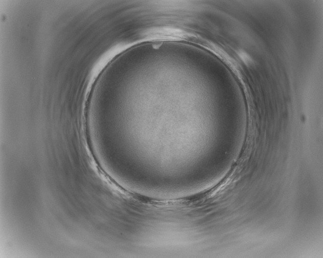 X0000066951488200603241131