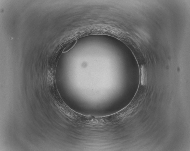 X0000066951491200603241130