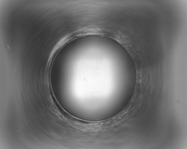 X0000066950004200603271219