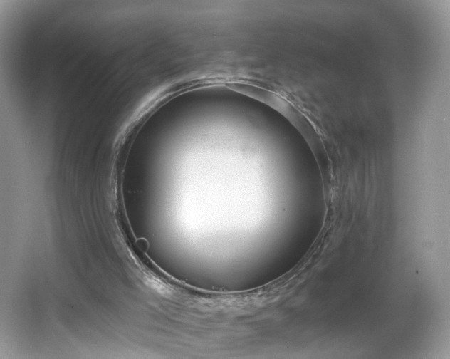 X0000066950005200603271219