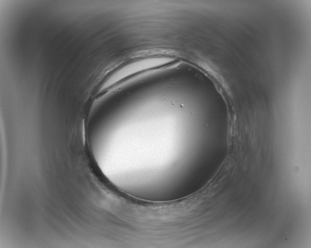 X0000066950013200603271219