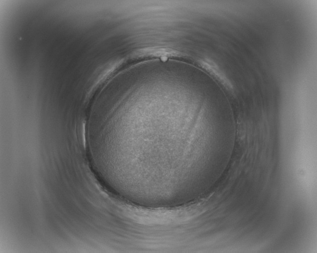 X0000066950014200603271219