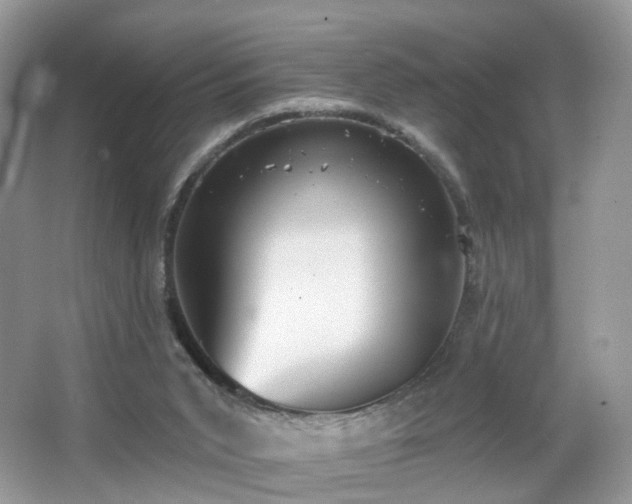 X0000066950015200603271219