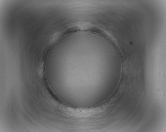 X0000066950018200603271219