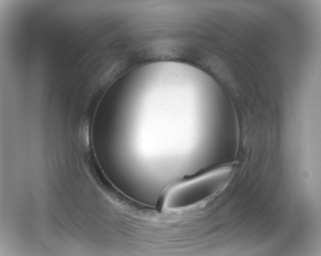 X0000066950021200603271219
