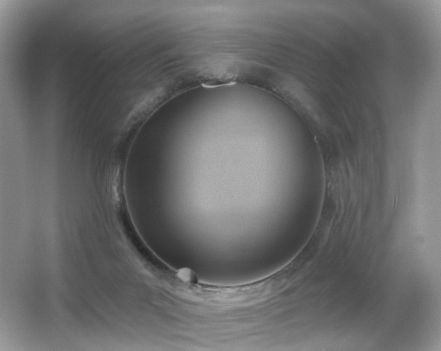 X0000066950023200603271219