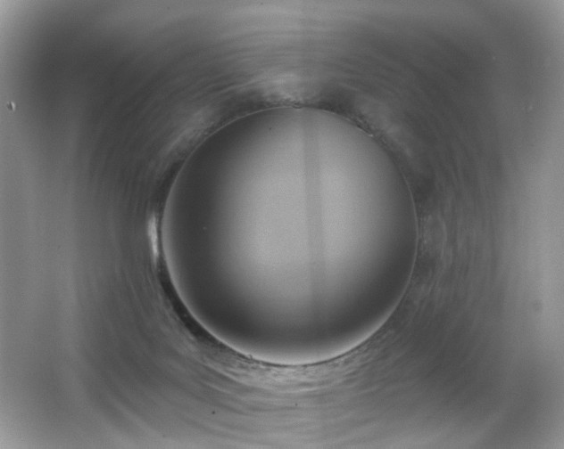 X0000066950027200603271219