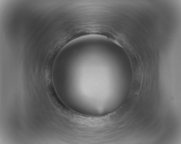 X0000066950031200603271218