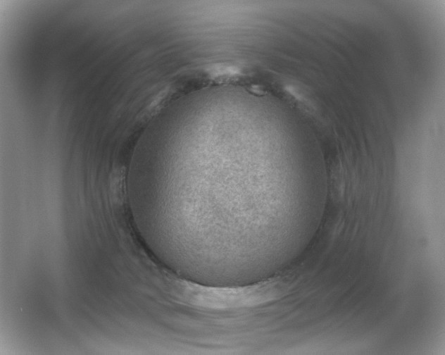 X0000066950034200603271218