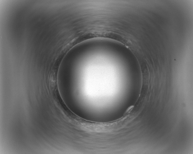 X0000066950040200603271218