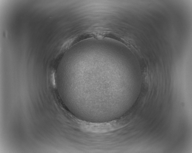 X0000066950042200603271218