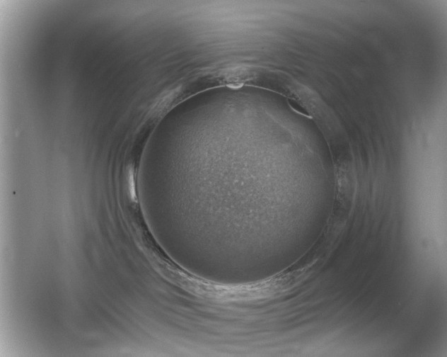 X0000066950046200603271218