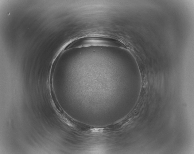 X0000066950052200603271217
