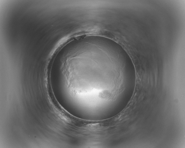 X0000066950054200603271217