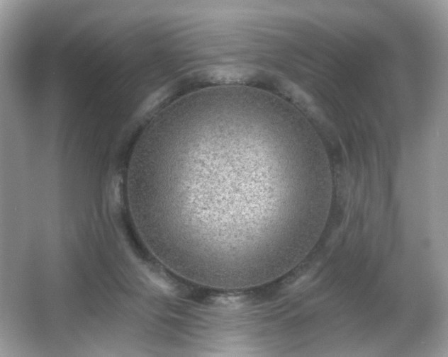 X0000066950071200603271218