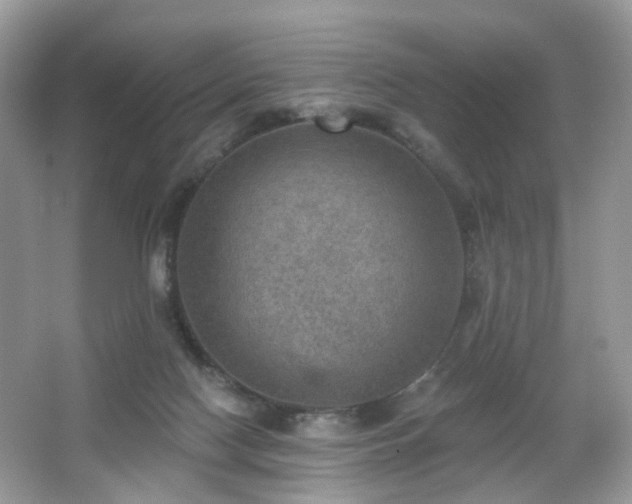 X0000066950074200603271218