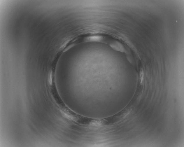X0000066950076200603271218