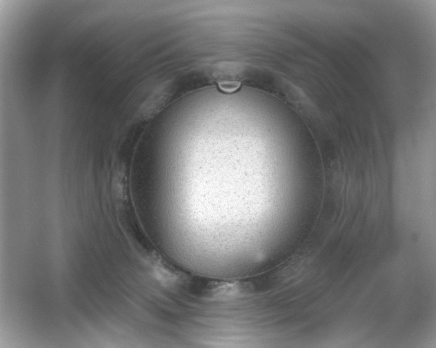 X0000066950083200603271218