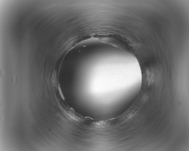 X0000066950092200603271218