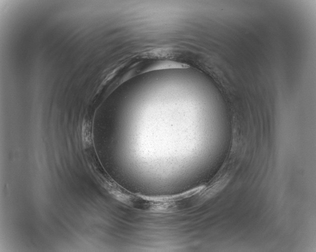 X0000066950096200603271218