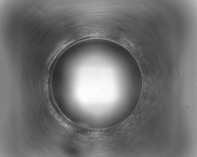 X0000066950098200603271217