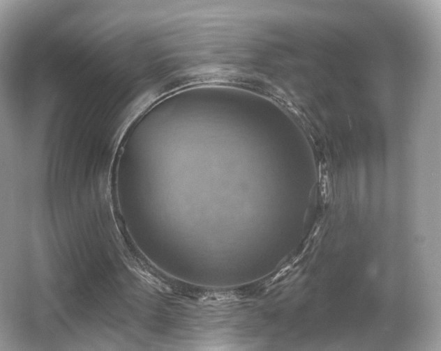 X0000066950099200603271217