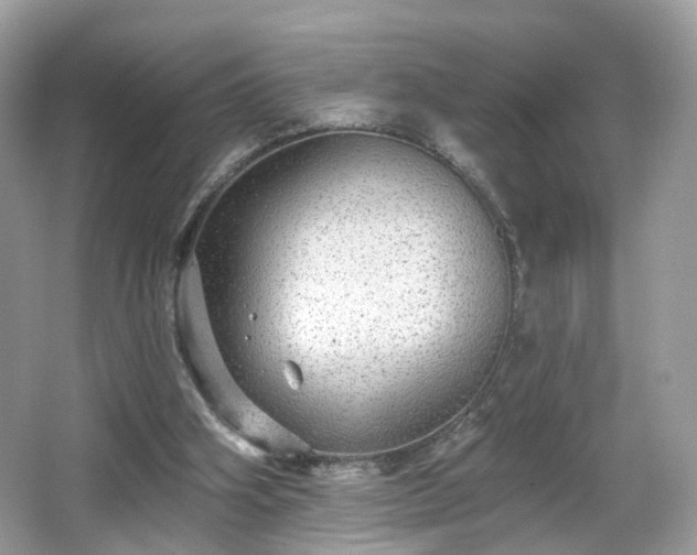 X0000066950106200603271217