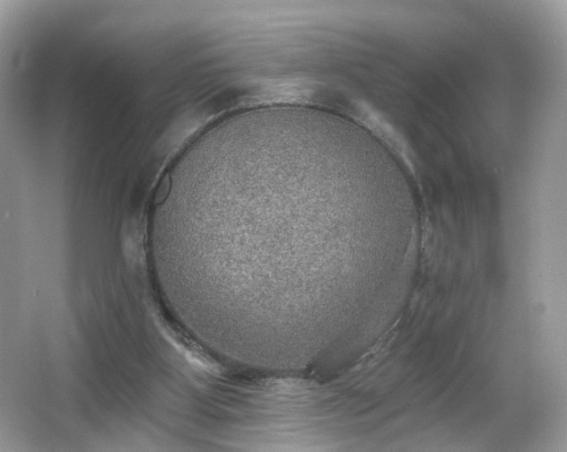 X0000066950107200603271217